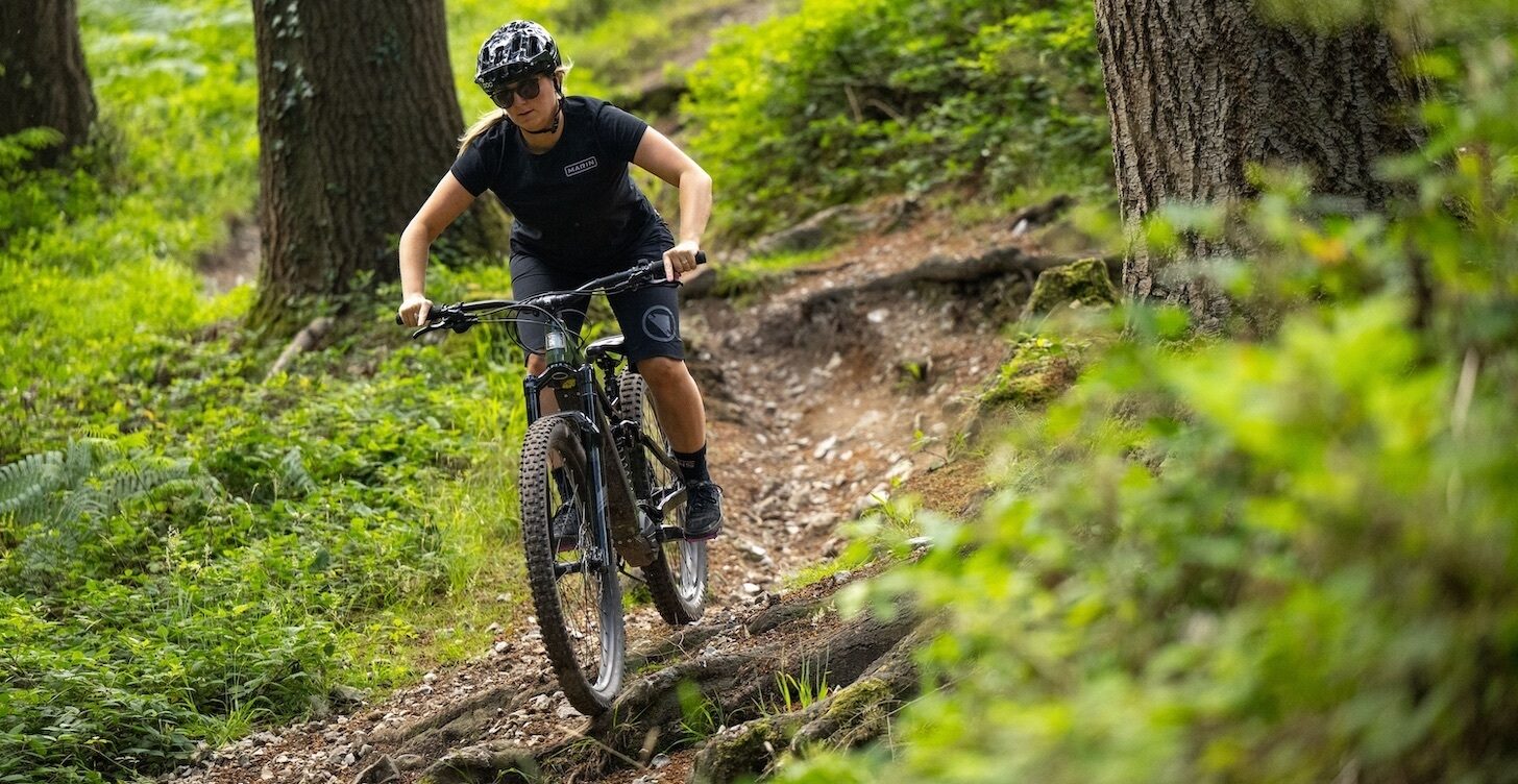 2024 Alpine Trail E1 (Shimano EU) - Image 4