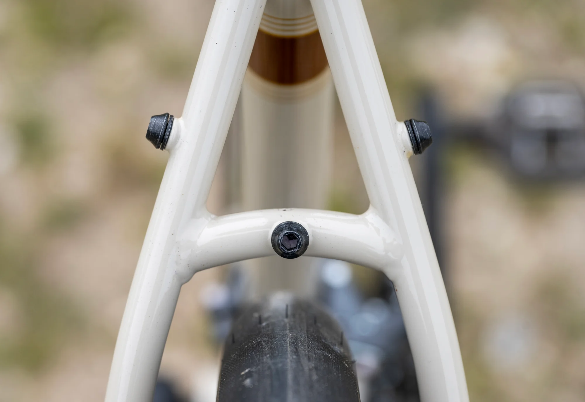 2025 Nicasio 1 - Image 3